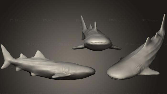 Animal figurines (Whaleshark, STKJ_1614) 3D models for cnc